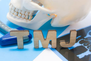 Model of human skull for TMJ